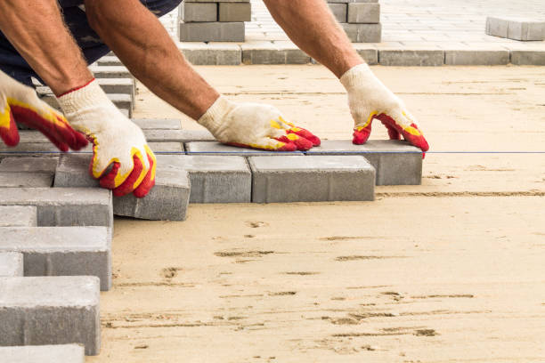 Best Driveway Paving Company  in Beach Park, IL